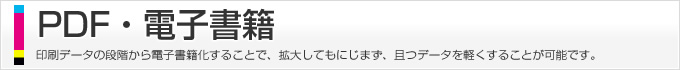 PDF・電子書籍、印刷データの段階から電子書籍化することで、拡大してもにじまず、且つデータを軽くすることが可能です。